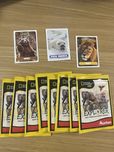 Wildlife Explorer National Geographic Kids Auchan