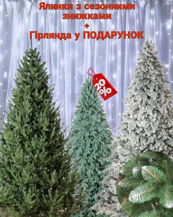 Ялинка лита Віденська 1.5-3.0