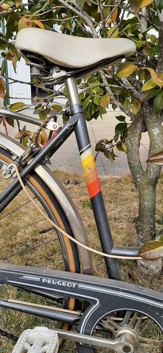 Bicicleta pasteleira Peugeot