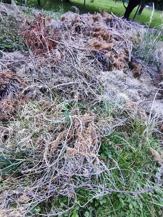 Oddam suche drewno