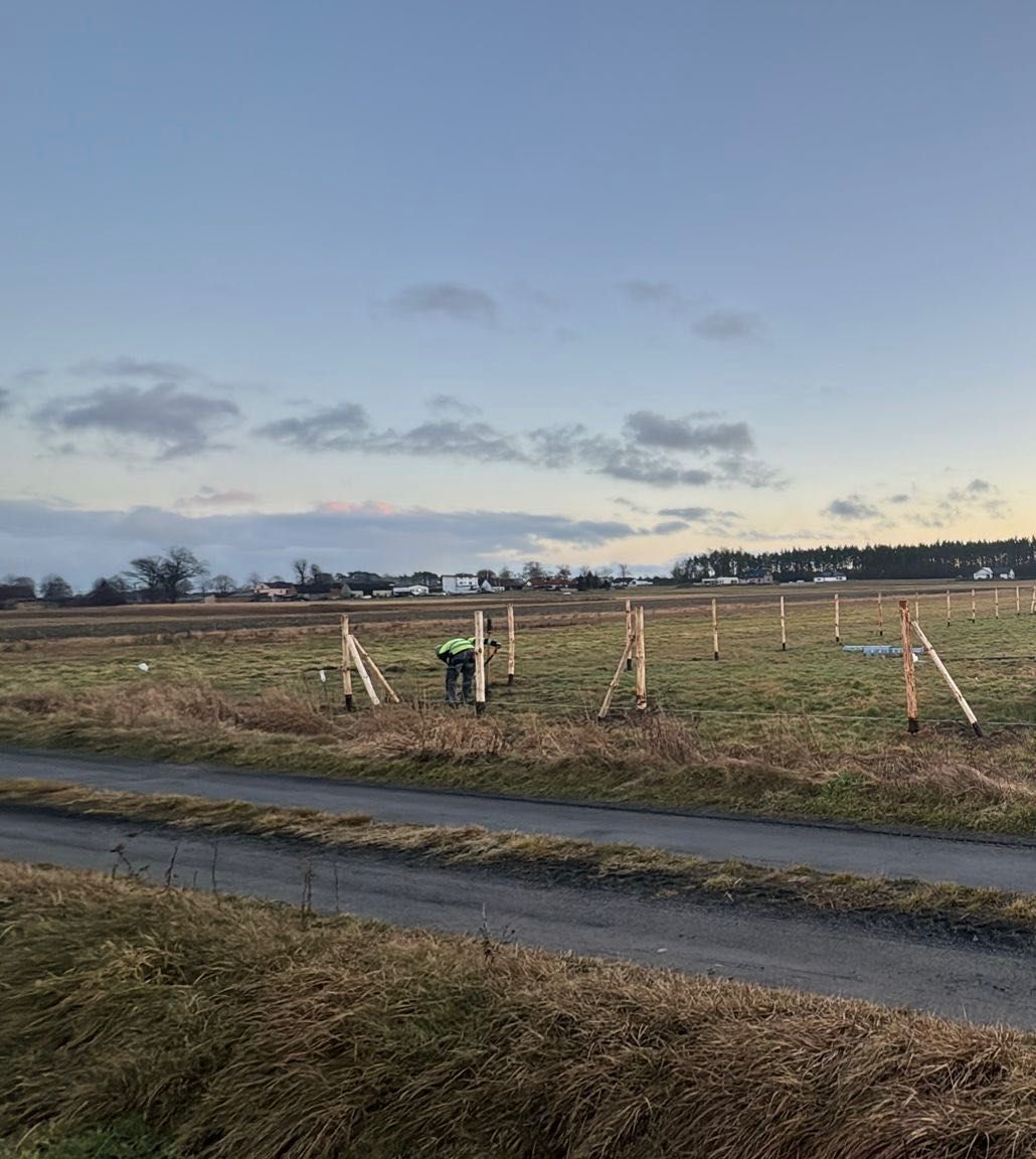 Ogrodzenie budowlane, leśne, tymczasowe