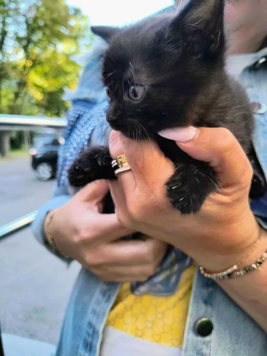 5 maluszków do pilnej adopcji
