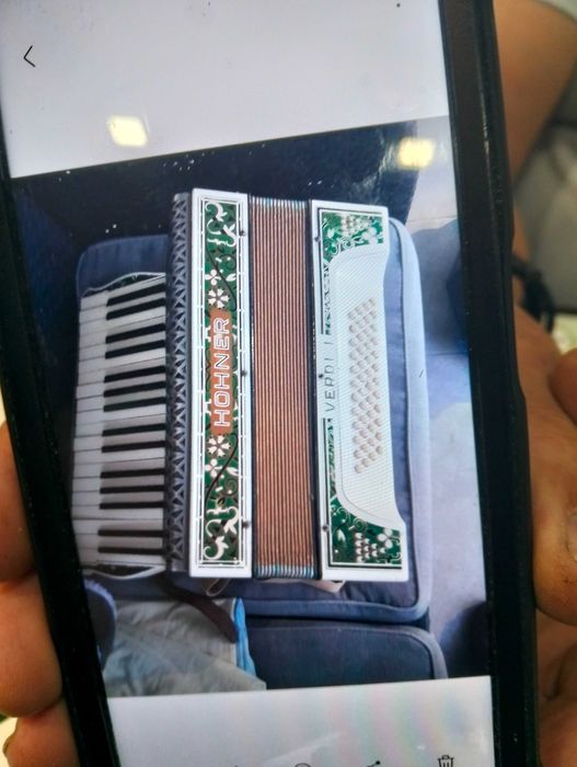 Vendo acordeão antigo