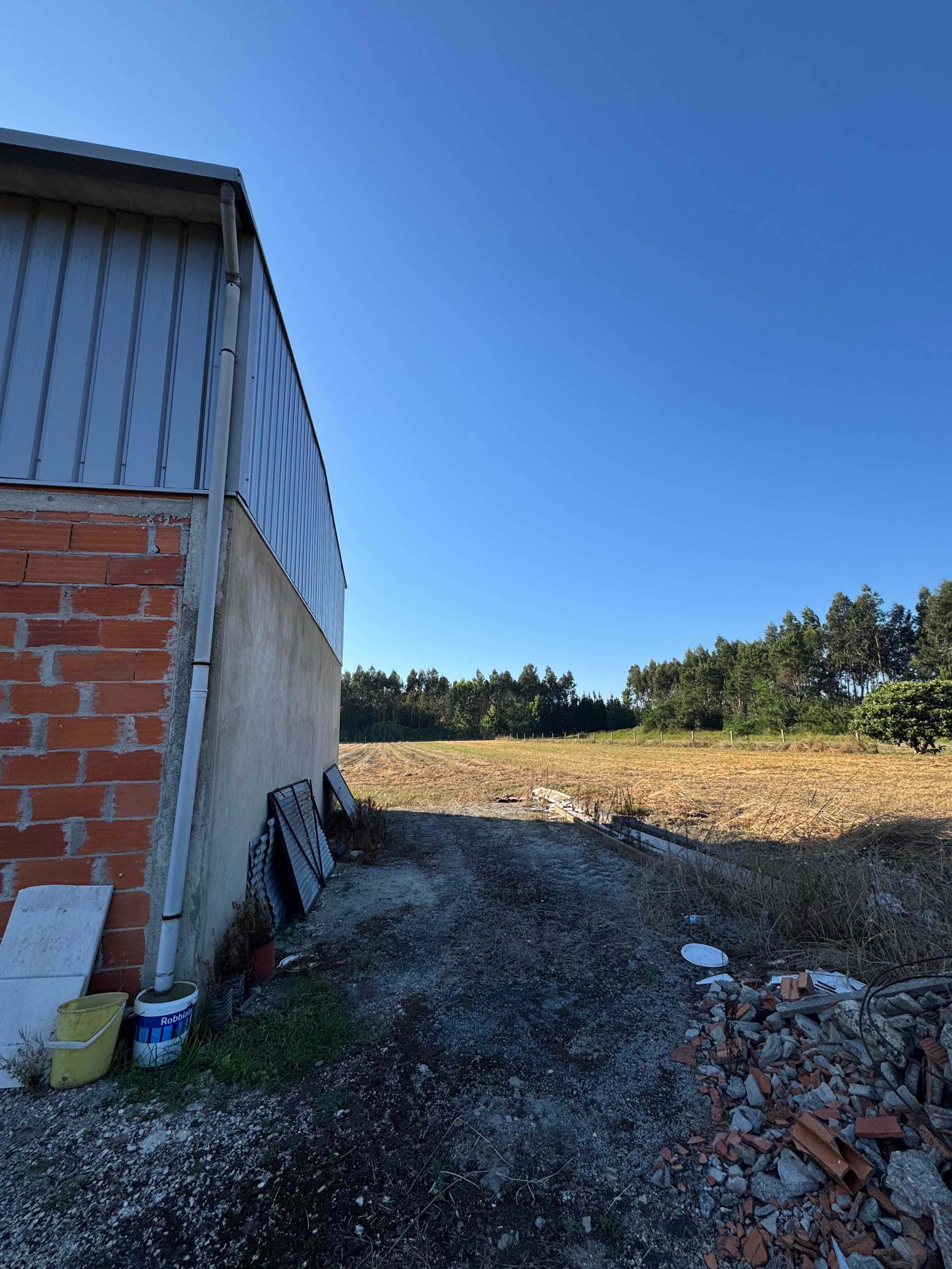 Quinta com 3 Hectares, Armazém e Copa