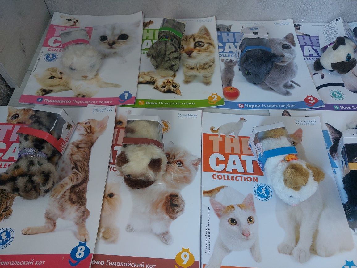 The cat collection