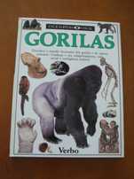 Enciclopédia Visual Verbo Gorilas