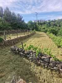 Terreno na zona do Caramulo