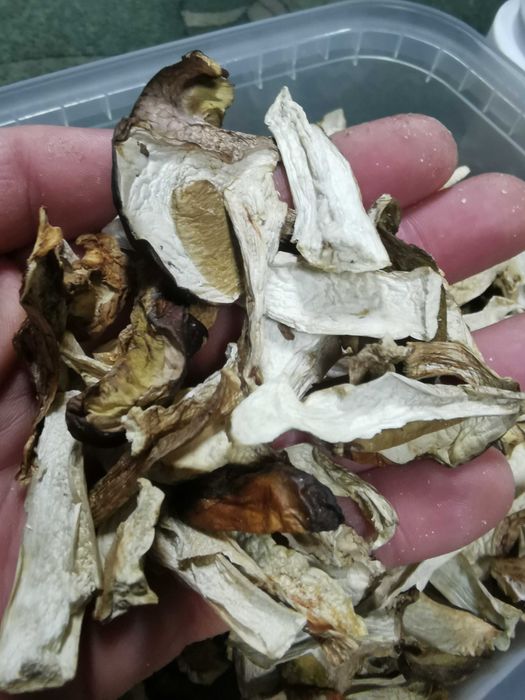 Borowik szlachetny suszony