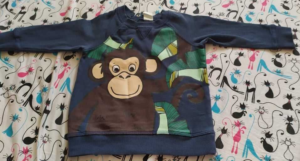 Bluza h&m 80 małpka