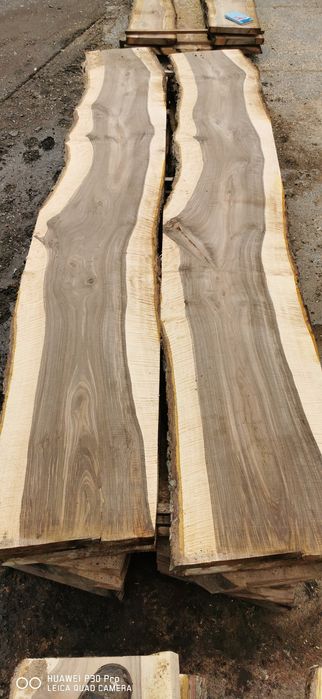 Orzech włoski, tarcica deski orzech