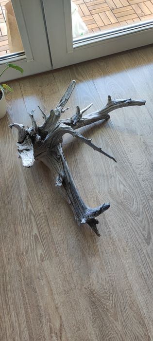 Unikatowy duży korzeń do terrarium akwarium