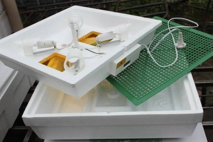 Інкубатор Квочка МИ-30-1 на 70 яєць