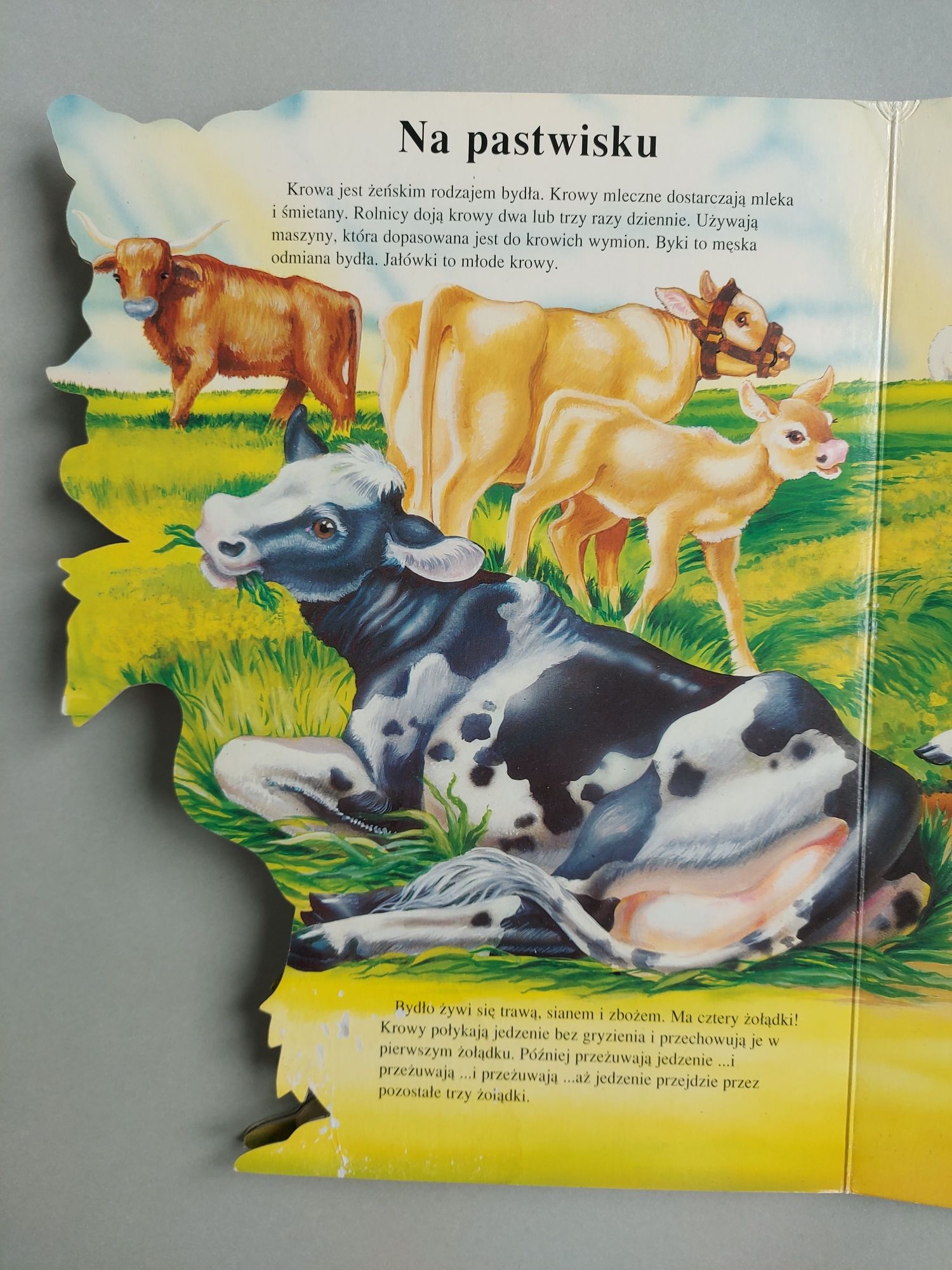 Zwierzęta w gospodarstwie wiejskim - Książka dla dzieci