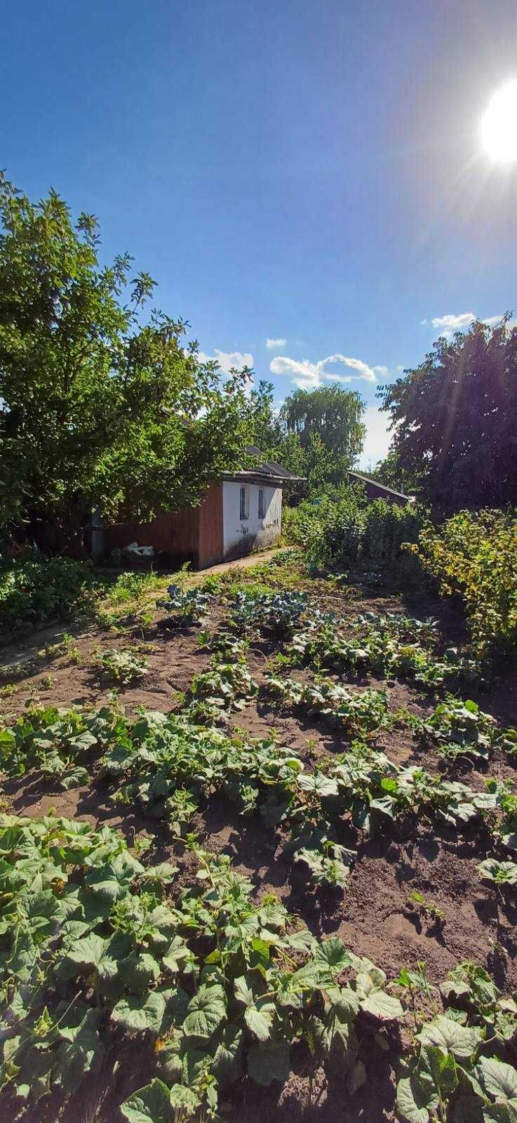 Продаж Окремого Будинку, район 24 школи