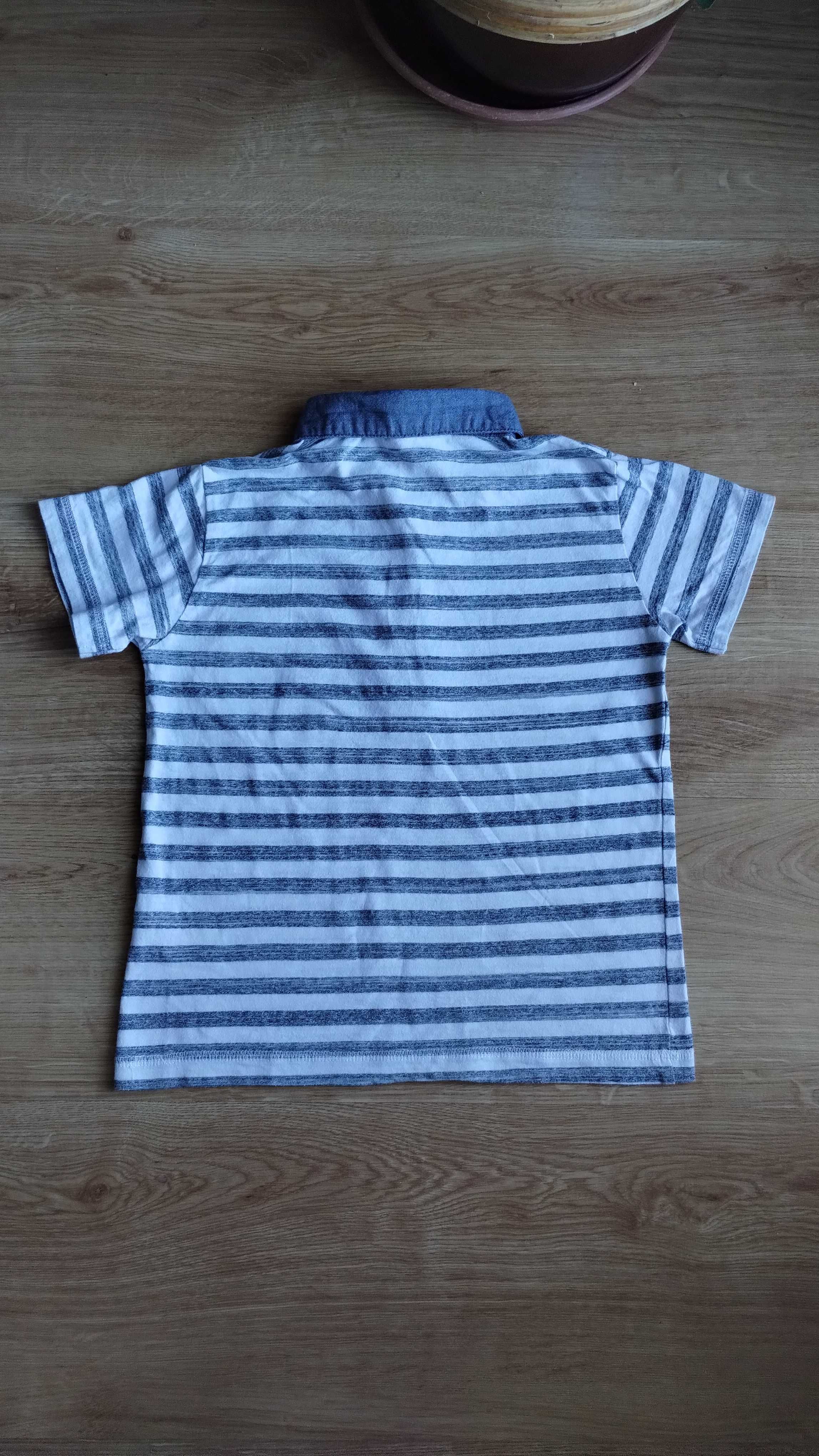 koszulka polo dla chłopca, t - shirt w paseczki