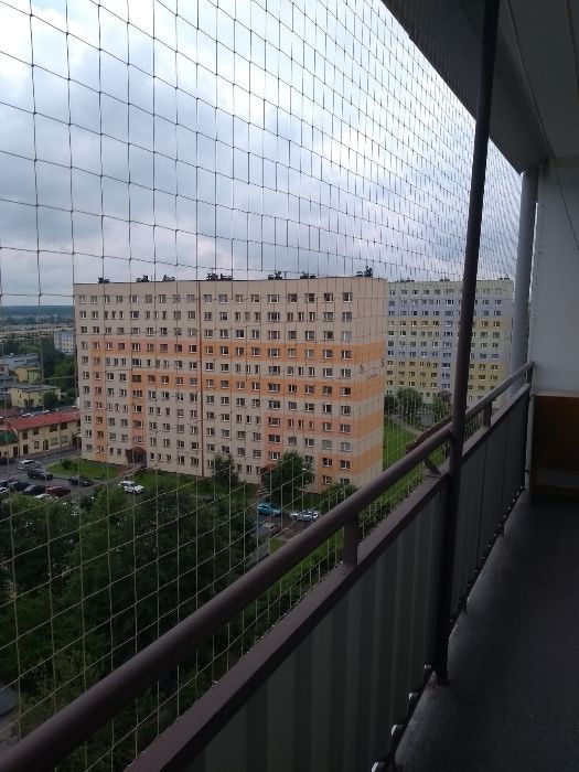 Siatka na balkon, siatka dla kota, siatka przeciw gołębiom
