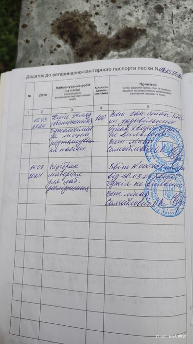 Бджолопакети Карніка