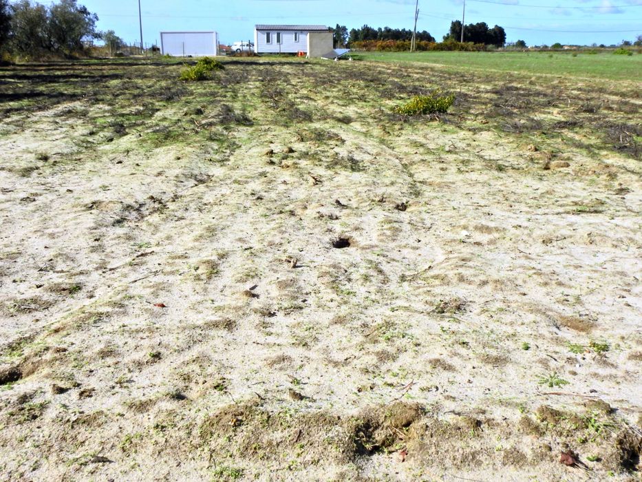 Quinta Rústica  com moradia  Luz Água e Saniamento em autonomia total