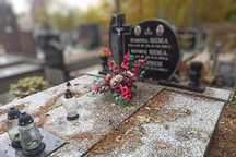 Sprzątanie, opieka nad grobami od 100 zł