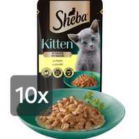 Sheba Kitten 10x 85g + Gratis, Saszetki Sos Kocięta Kurczak Pokarm Kot