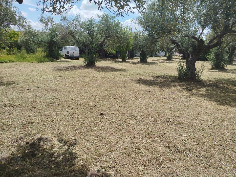 Limpeza de terrenos e jardins