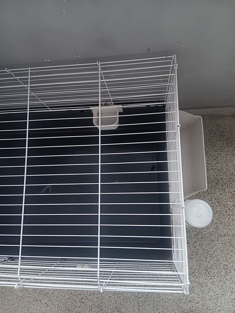 Gaiola para coelho