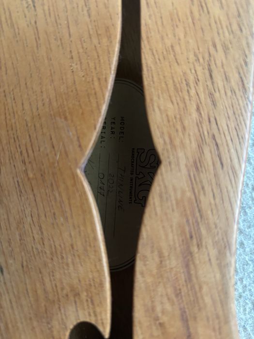 SKG Gitara thinline  (tele, nie fender, gibson)