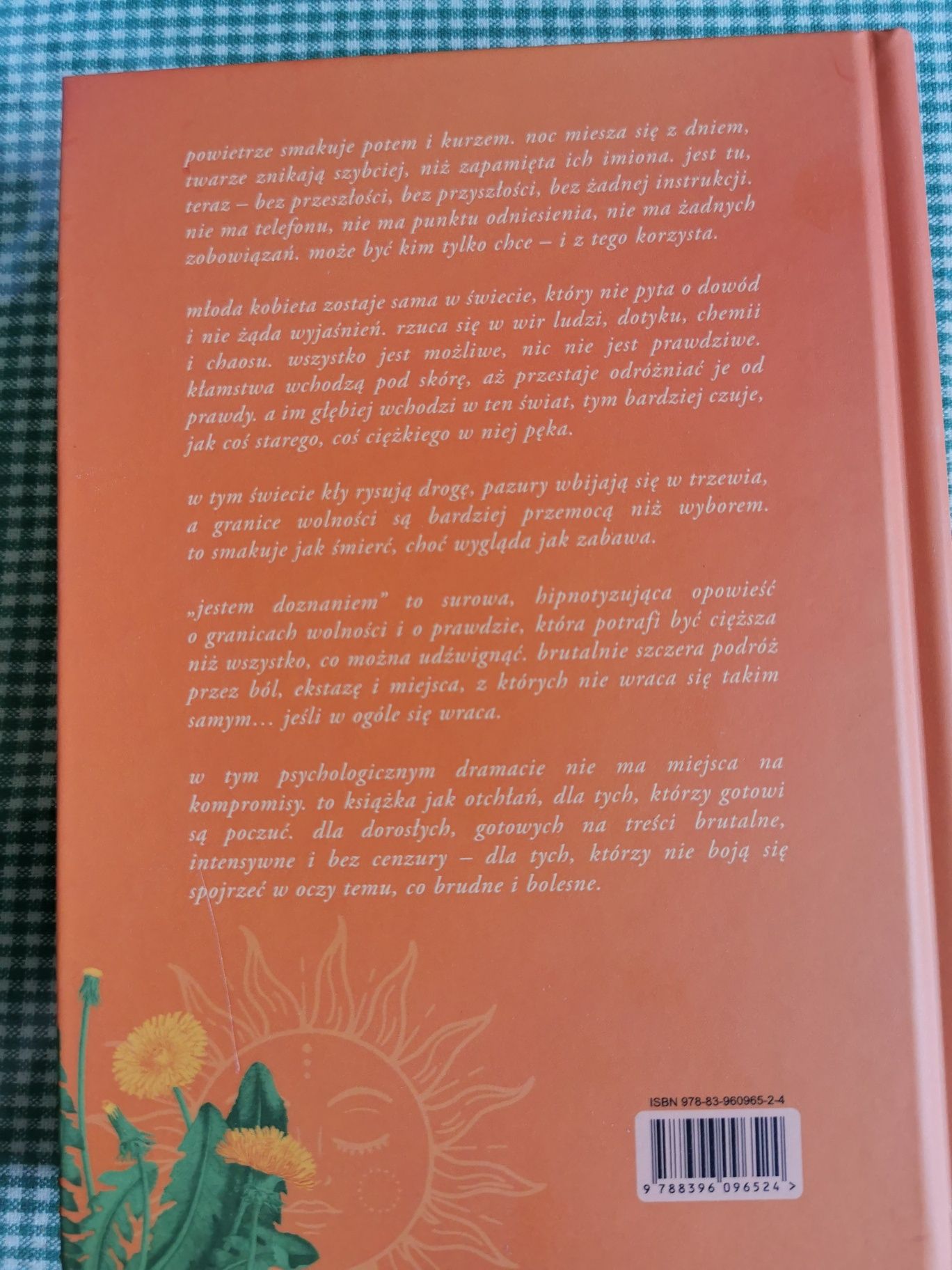 Jestem doznanie Eff Kozłowska to 1 trylogia jednej straty