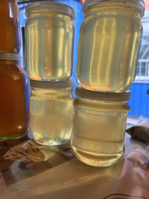 Продам мед свіжий 2025 Акація,Липа,Гречка