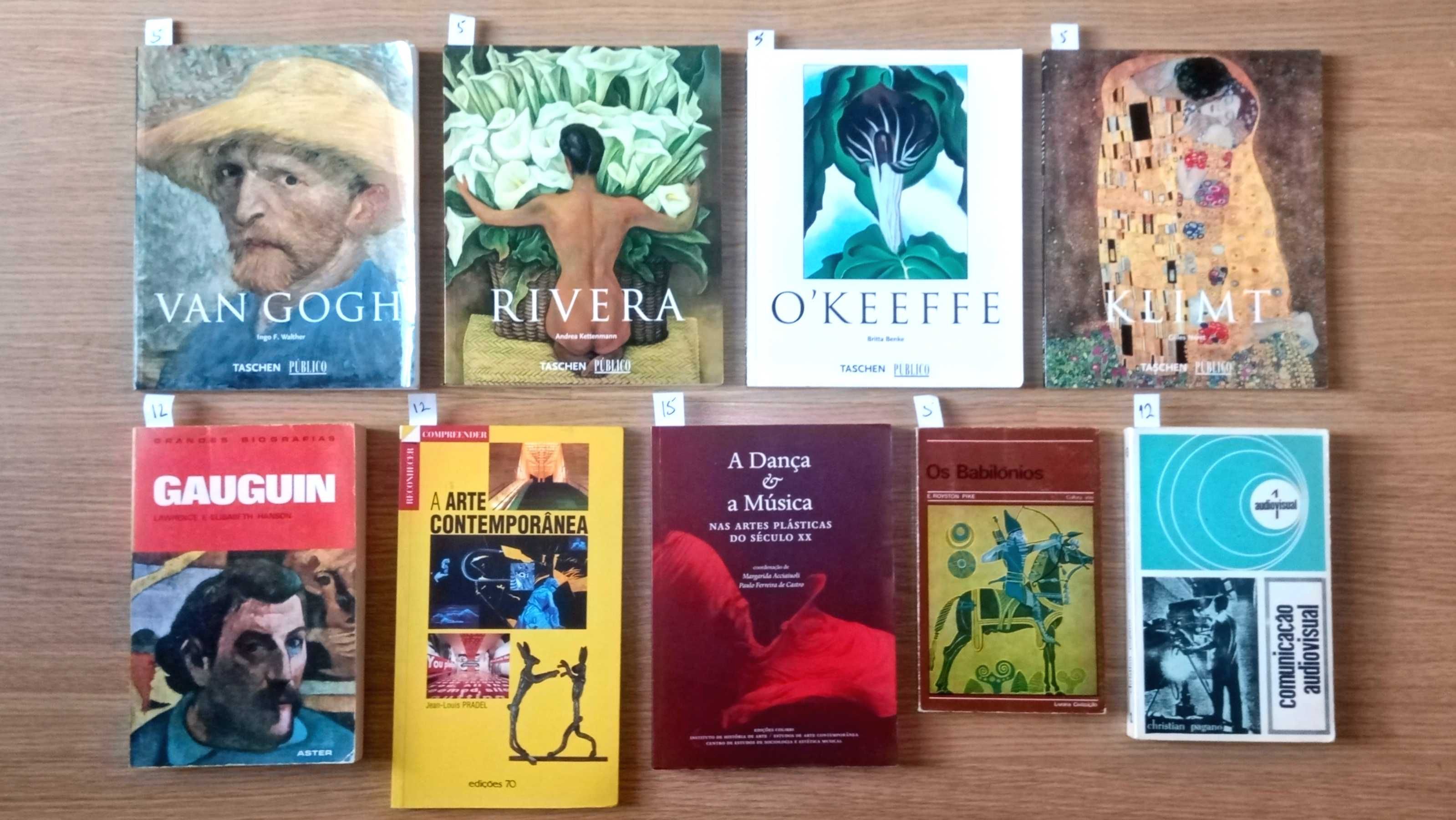 Vários livros (música, arte, literatura, técnicos, etc)