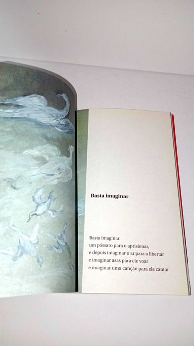 O Pássaro da Cabeça e mais versos para crianças