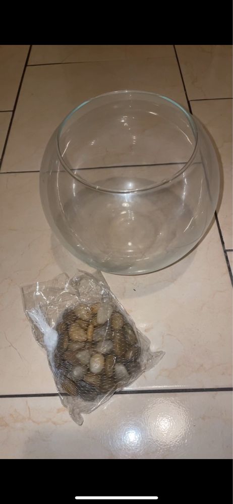 Aquário para peixe