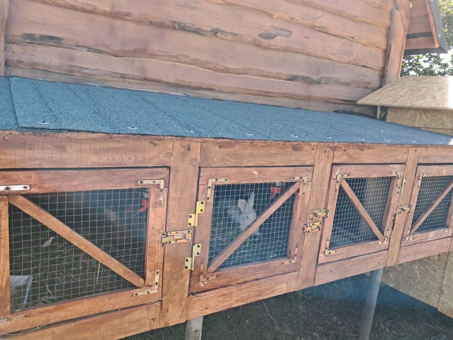 Klatka dla królików