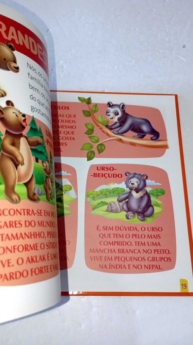 Aklak, o Urso-Pardo - Os meus animais do Zoo