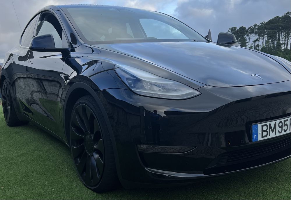 Tesla Y Performance