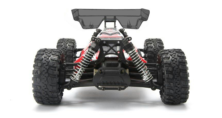 Remo Hobby Dingo 1651 Buggy