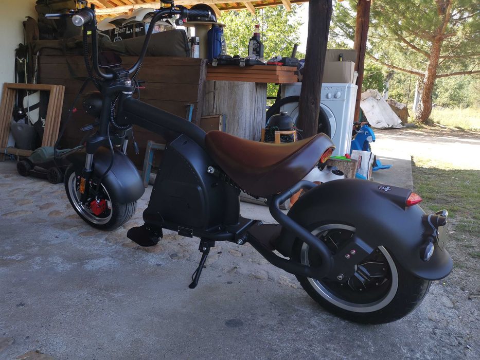 Moto eléctrica Citycoco  (modelo diferencido)