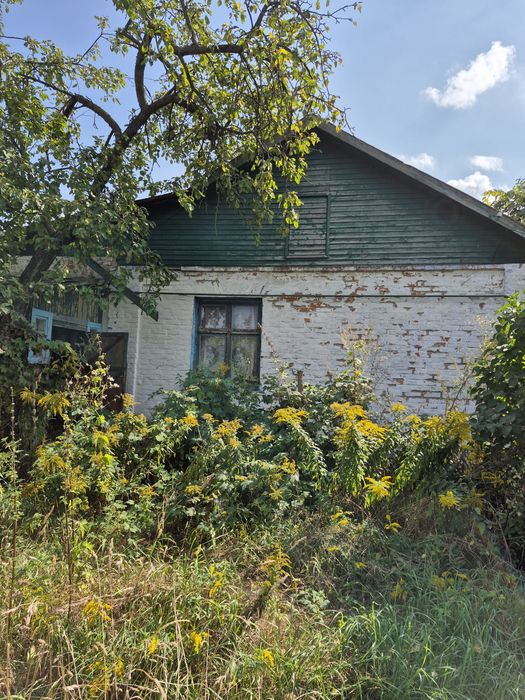 Цегляний будинок в М. Коцюбинському