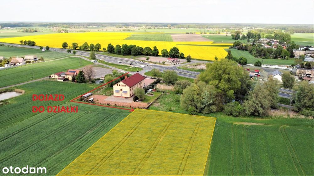 Pod Hale, Produkcję - Niedaleko Kostrzyna!