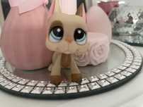 Lps dog niemiecki