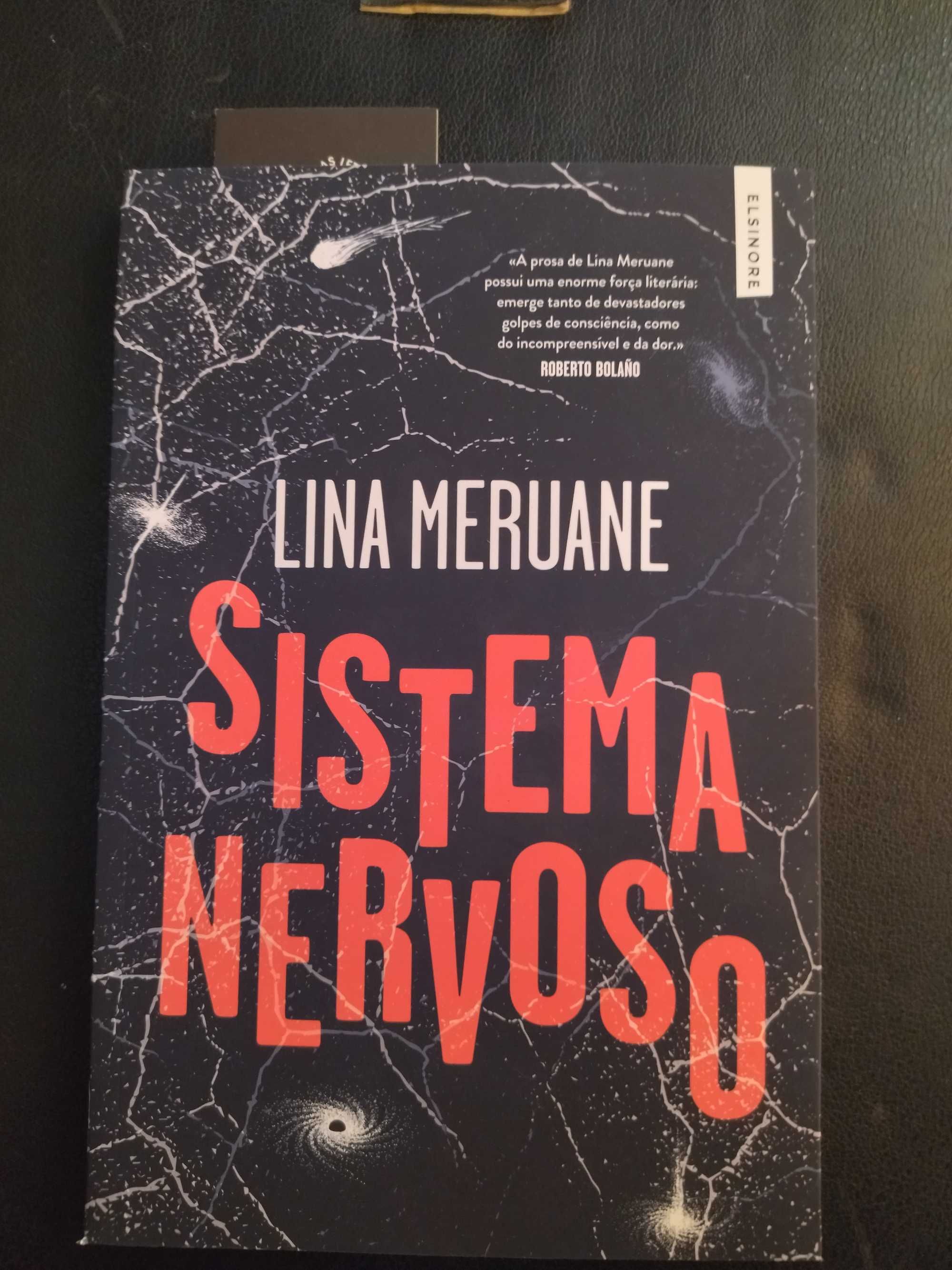 Sistema Nervoso de Lina Meruane