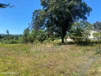 Terreno Fragoso