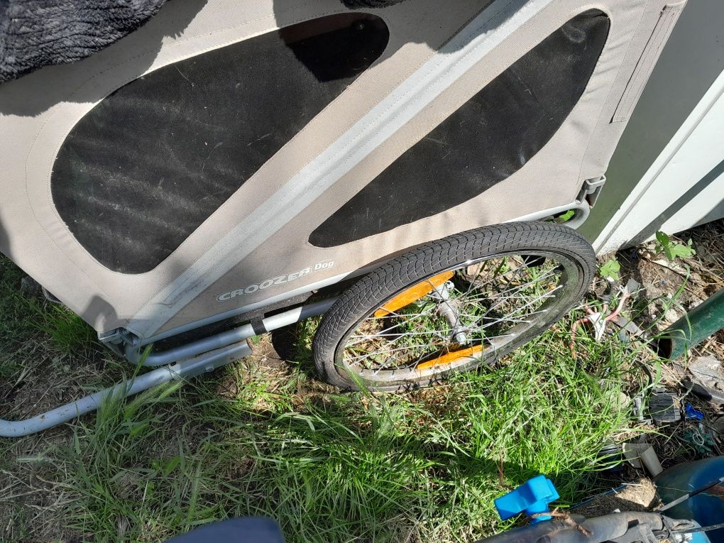 Przyczepka rowerowa dla psa Croozer Dog