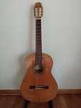 Viola Acústica APC 4C