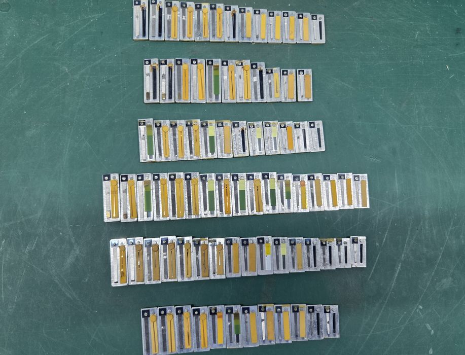 Głosy do akordeonu lub harmonii