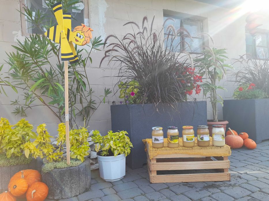 Miód rzepakowy 100 % naturalny 2025 r.