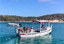 Barco Traditional Fibra