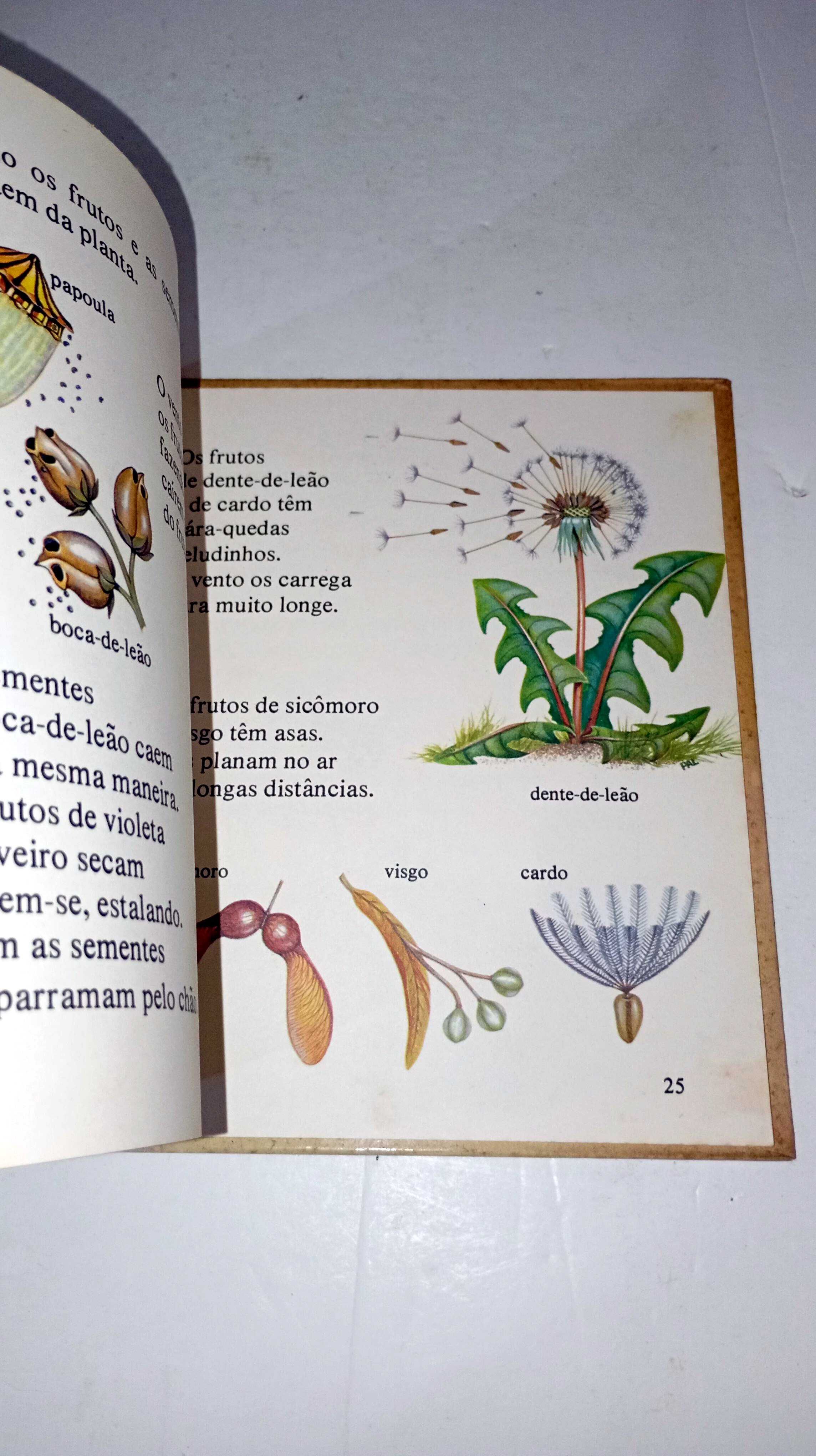 Como Vivem as Flores - Biblioteca das Crianças