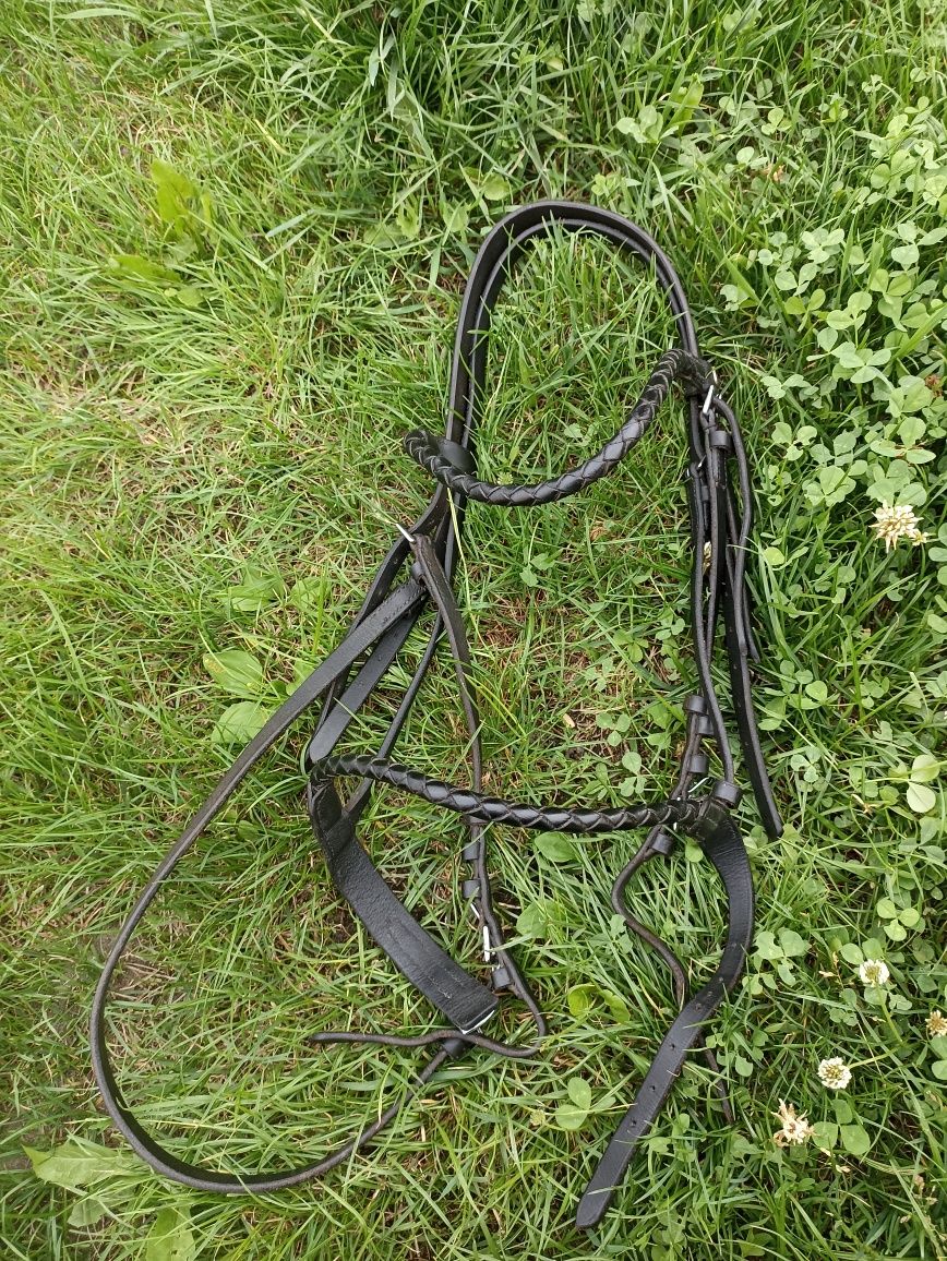 Ogłowie Cladridge House pony