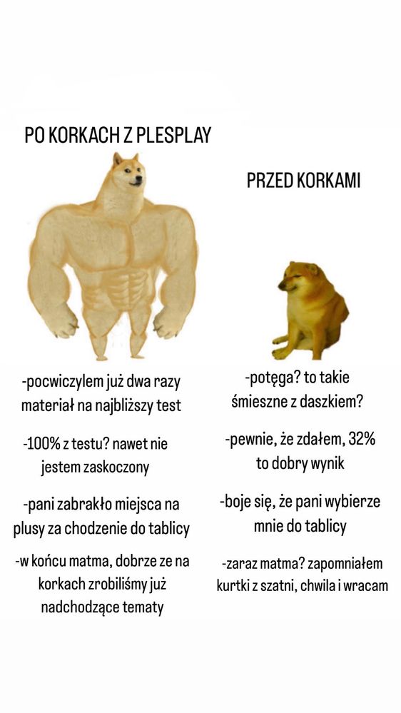 PLESPLAY Korepetycje Z DOJAZDEM i ONLINE matematyka egzamin 8kl matura